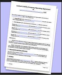 LLC Template